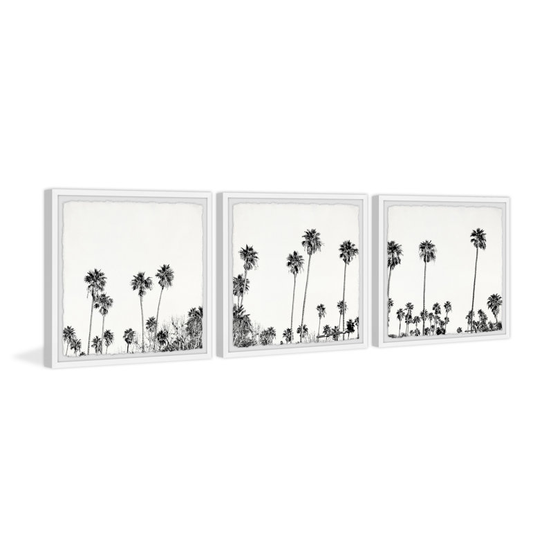 B&W Coco Tree Farm par Marmont Hill - ensemble de 3 photos encadrées, H 12 po x l 12 po x P 1,5 po
