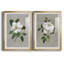 Magnolia botanique - Estampe botanique vintage, encadrée sous verre, lot de 2, décoration murale pour salon et salle à manger-512224786-512224788-512224798