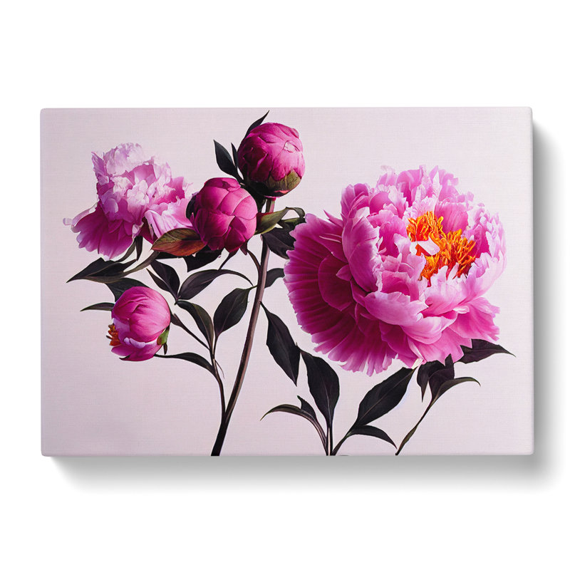 Spectacular Peonies - Wrapped Canvas, 50cm H x 76cm W x 3cm D