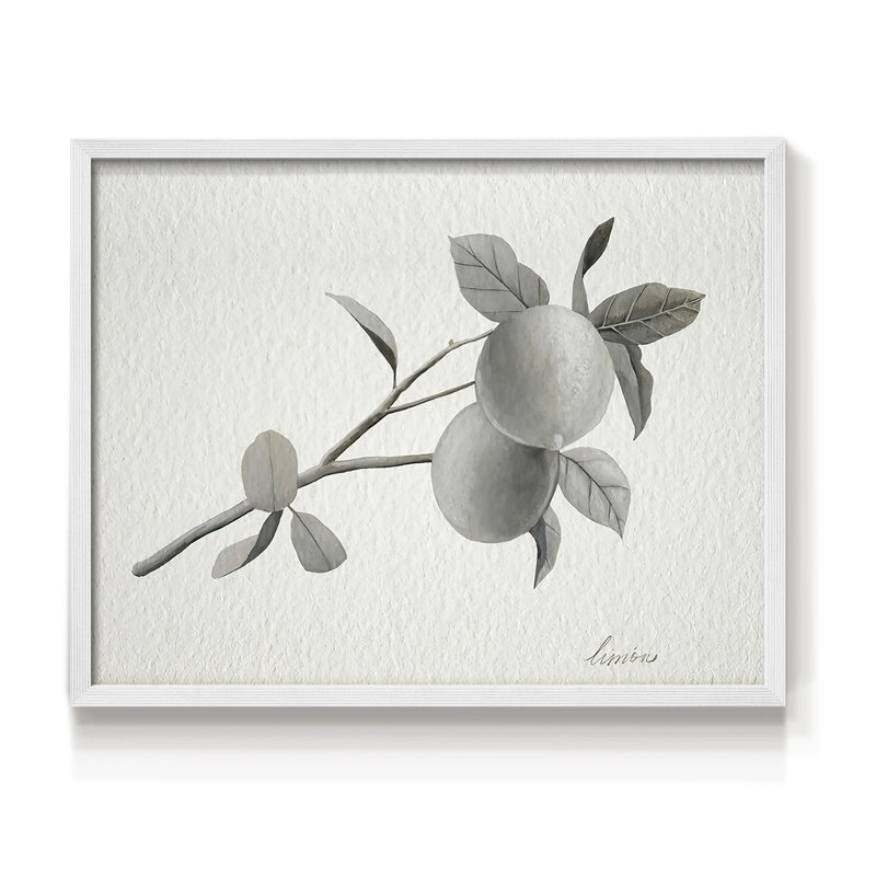 Limonero II -Framed Print - Restickable, 22" H x 28" W, White