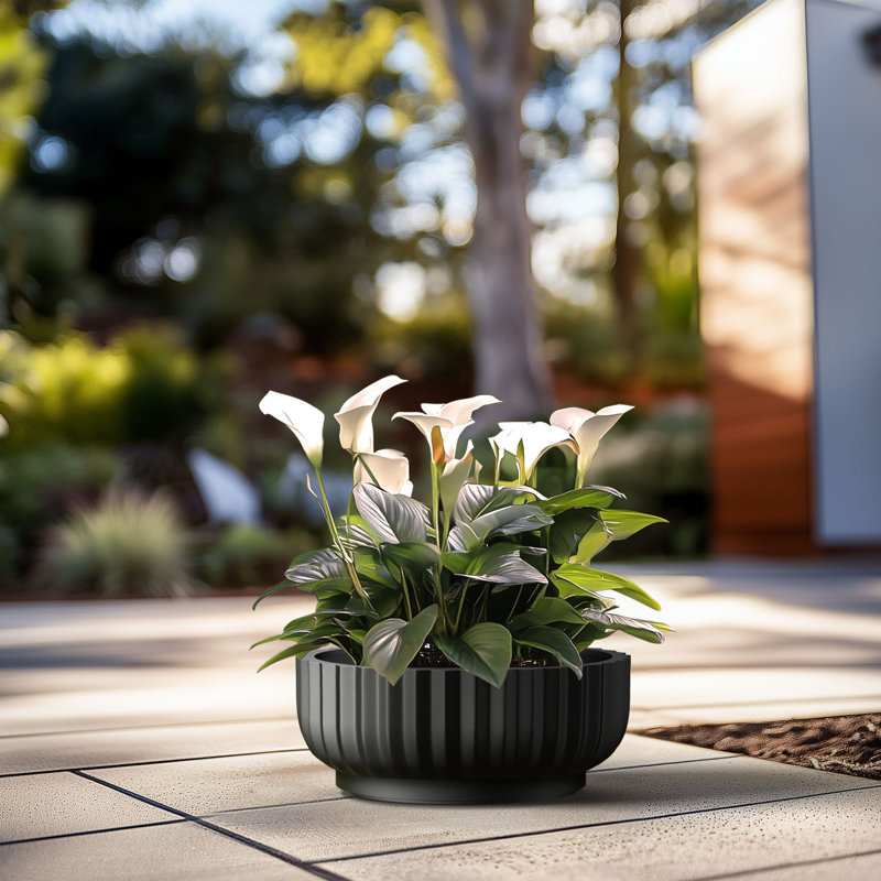 Grand pot / pot rond en béton avec trous de drainage, H 8,27 po x l 20,87 po x P 20,87 po, Noir anthracite