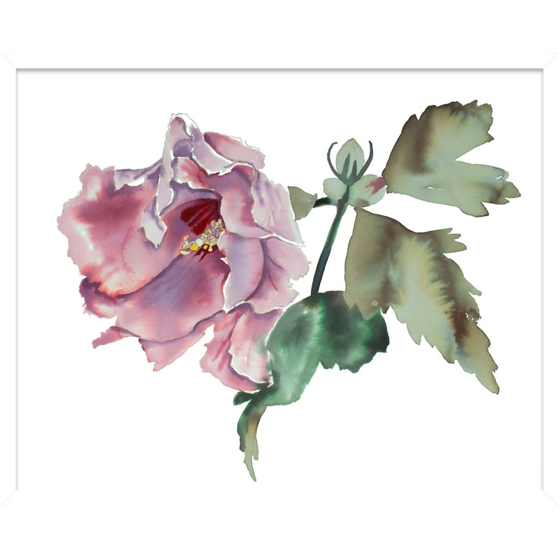 Hibiscus No. 8 Print by Elizabeth Becker