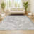Blane Modern Persian Vintage Medallion Light Gray Rug-1497403764