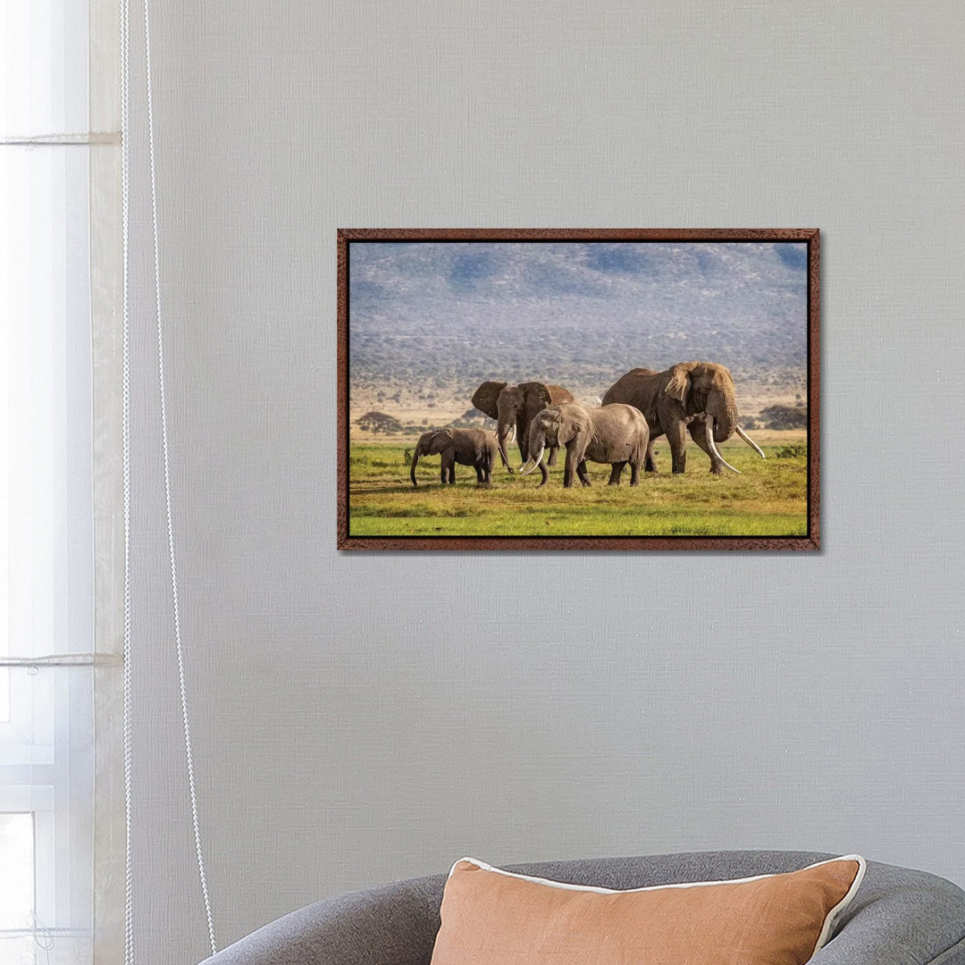 Elefantenfamilie in Amboseli Kenia von Susan Richey - Galerie-verpackte Leinwand Giclée auf Leinwand