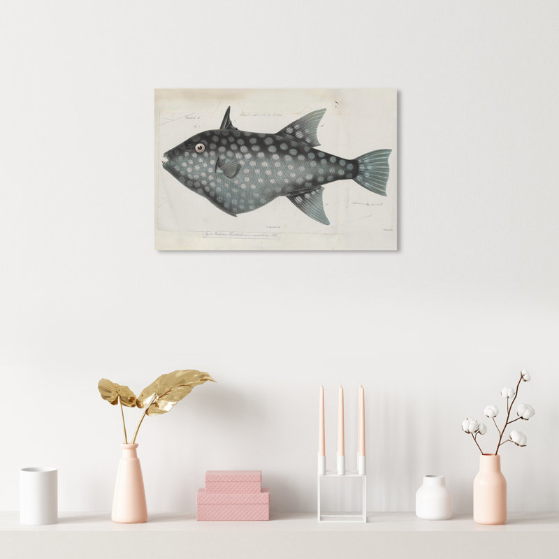 " Triggerfish " Painting Print, Wrapped Canvas, 16" H x 24" W
