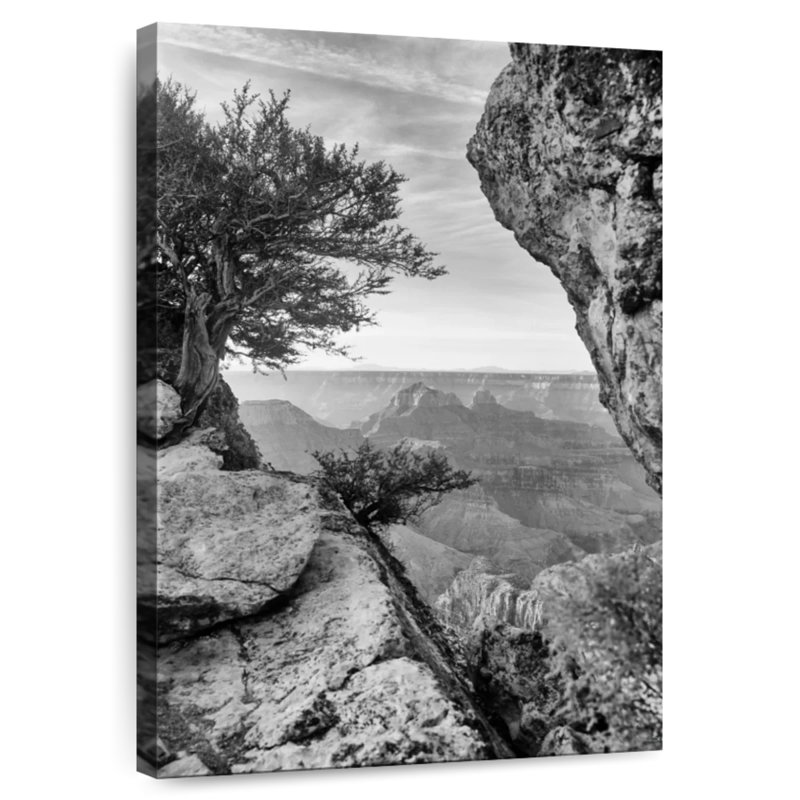 Alvord Scenic Grand Canyon, 39" H x 26" W