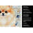 Pomeranian Coastal Sea Glass Kitchen Towel-871464247