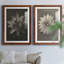 «Blossfeldt Flower I», ensemble de 2 reproductions de photos sur papier encadrées-309876272-309876237
