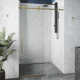 Elan E-Class 56-60" W x 76" H Sliding Frameless Shower Door with 3/8" Clear Glass