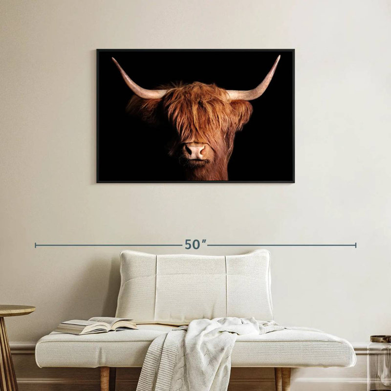 Brampt Highland Scottish Cow, H 25 po x l 37 po