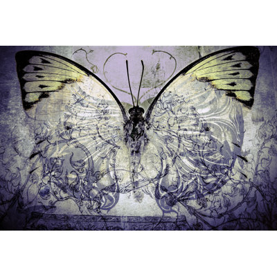 Doonfin Butterfly - Wrapped Canvas Print