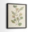 Pressed Arrangement III - Reproduction encadrée de qualité supérieure - prêt à être accroché - aucun clou requis - aucun clou requis-910221029-910221030