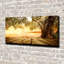 Olive Tree - Print-647198006-647215499