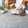 Bismark Performance Oriental Indoor/Outdoor Area Rug