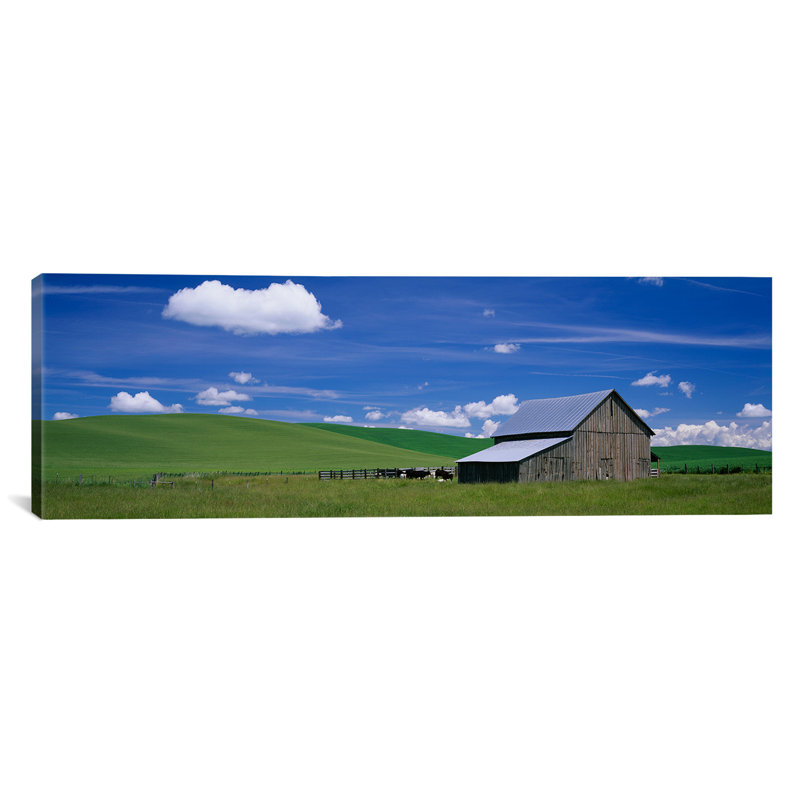 « vaches et une grange dans un champ blé, washington », reproduction de photo sur toile, H 20 po x l 60 po x P 1,5 po
