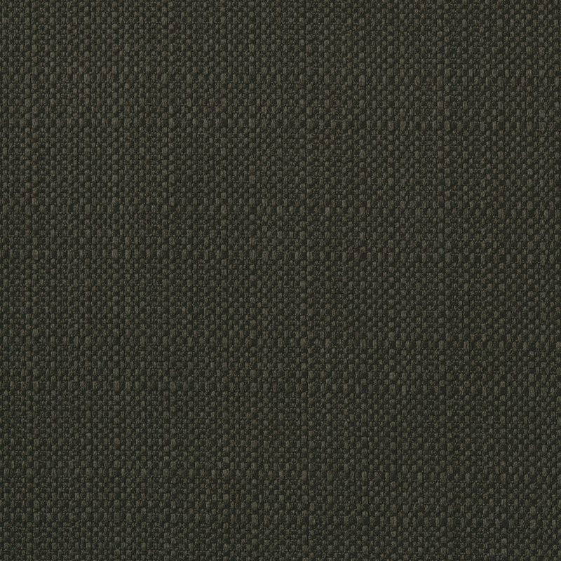 Chaise d'appoint - Chaise de salon en tissu massif rembourrée avec des pieds en tissu gris