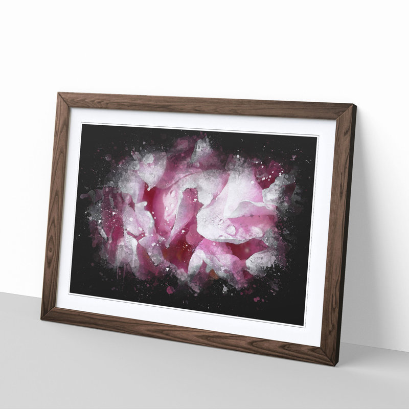 Beautiful Pink Carnation Petals - Single Picture Frame Print on MDF, 33cm H x 45cm W x 2cm D, Walnut Framed