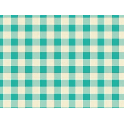 Gingham Comforter