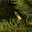 The Holiday Aisle® Downswept Douglas Fir Pencil Slim Tree with Clear Lights-533169820