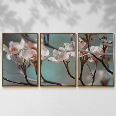 " Dogwood Spring IV " 3 - Pieces