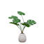 Bureau de bureau artificiel Monstera