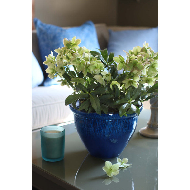 Pizzazz Decorative Round Planter - (2 Pack), 11.63" H x 15.75" W x 15.75" D, Blue