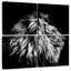 Tête de lion Brampt-109134506