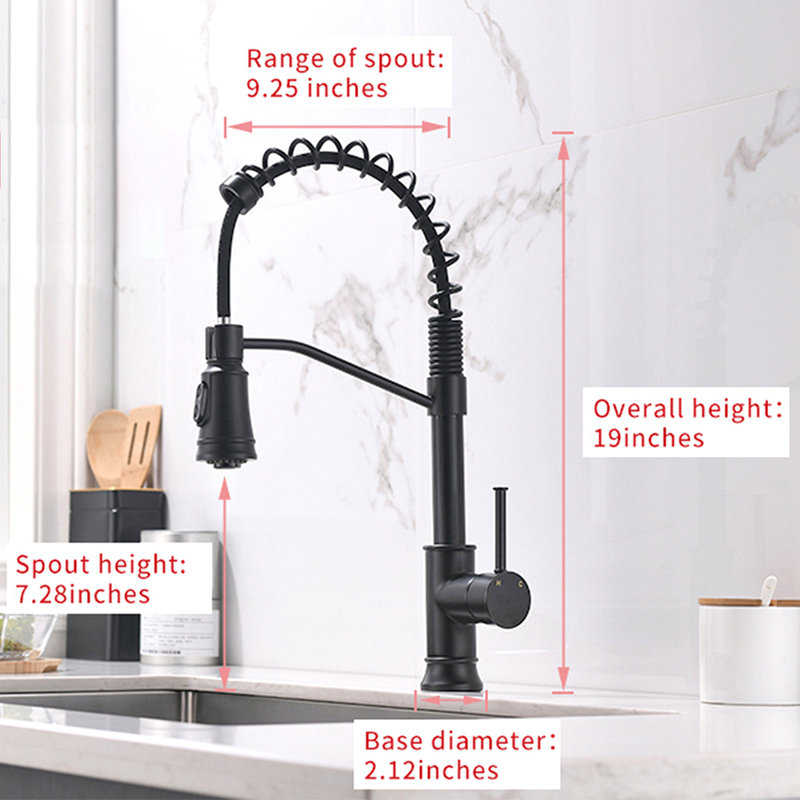 Robinet de cuisine avec douchette extractible et robinets d'évier de cuisine à poignée simple en acier inoxydable noir