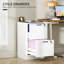 40cm Wide 2 -Drawer File Cabinet-1975229267