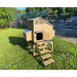 16 Square Feet Chicken Coop