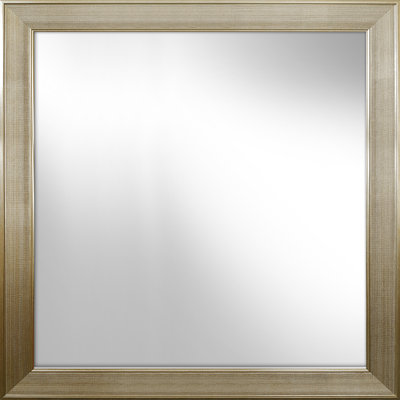 Redfern Plastic Flat Mirror