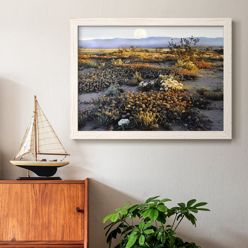 Anza Borrego Desert - reproduction de cadre flottant sur toile, Blanc, H 14 po x l 20 po x P 1,5 po