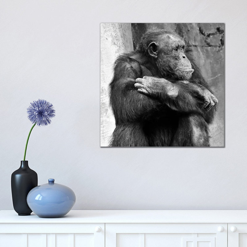 Majestic Profile by Zoe Schumacher - Wrapped Canvas Print, 30.48cm H x 30.48cm W x 1.905cm D