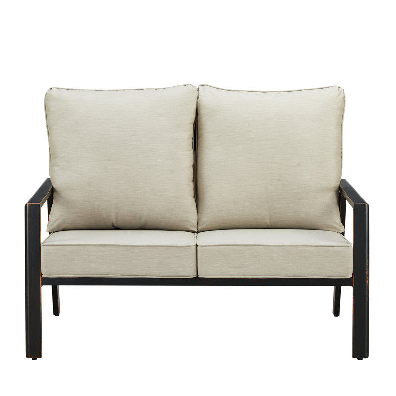 53.15'' Wide Straight Aluminum Loveseat with Cushions, Light Gray