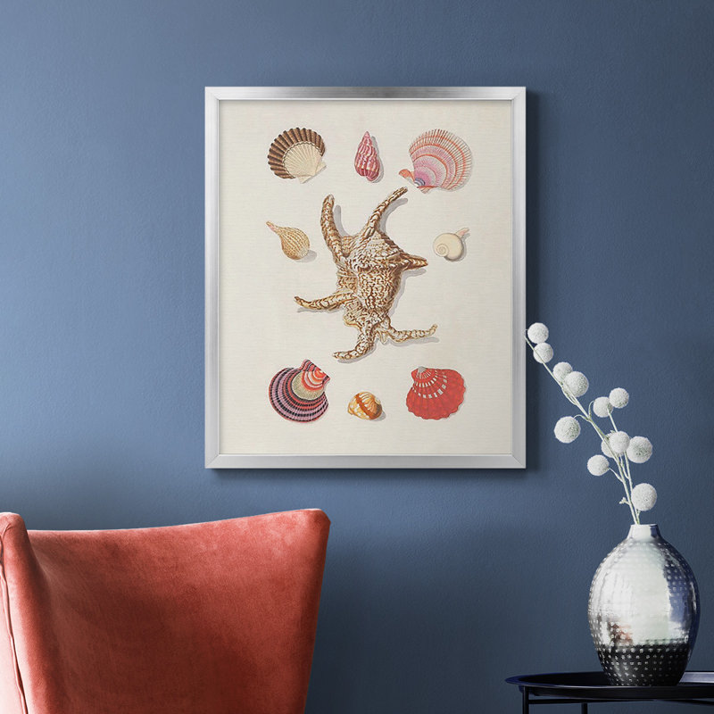 Toile de qualité supérieure Knorr Shells & Coral II - prête à être accrochée, H 24 po x l 20 po, Argent