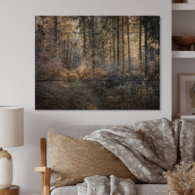 " Forest Trees In Winter "