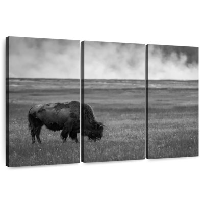 Parc national Brampt Yellowstone