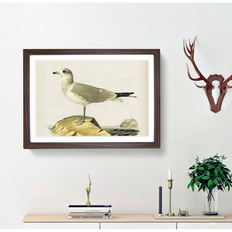 Common Gull by Von Wright - Picture Frame Painting Print, 36cm H x 48cm W x 2cm D, Walnut Framed