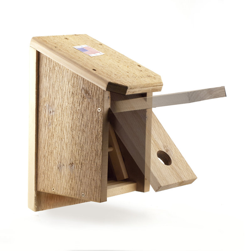 Unfinished Cedar Wood Birdhouse for Winter Roosting and Shelter