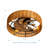 Adiyan 19'' Ceiling Fan with Light Kit