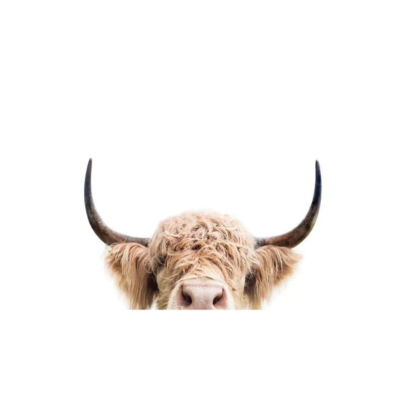 «Peeking Cow» par Sissi & Seb - reproduction de photo, H 12 po x l 18 po x 1,5 po, Toile tendue