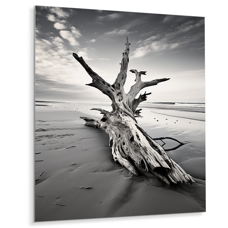 Beach Driftwood Photo III - Salon nautique et plage en métal, H 20 po x l 12 po x P 1 po