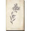Conversations on Botany 6 - Peinture-987781288-990911022