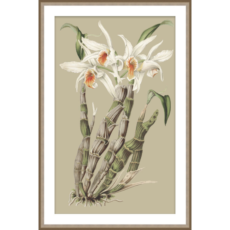 Botanical Jungle 1 Print, 38.75" H x 25.75" W