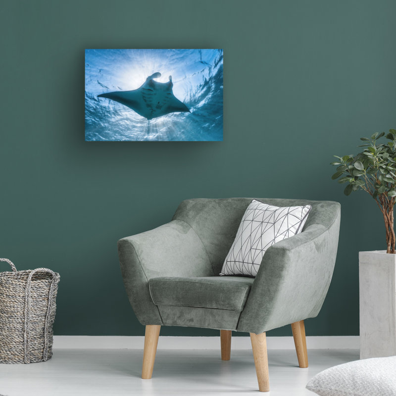 Art sur toile, rouleau de bolathèque Gabriel, H 12 po x l 19 po
