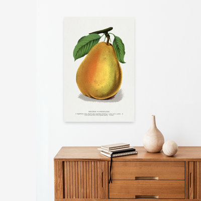«Duchess D'angouleme Pear», art mural rétro rétro