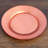10.5" Dinner Plate-1018680058