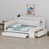 White+Cream White Cushion est en rupture de stock