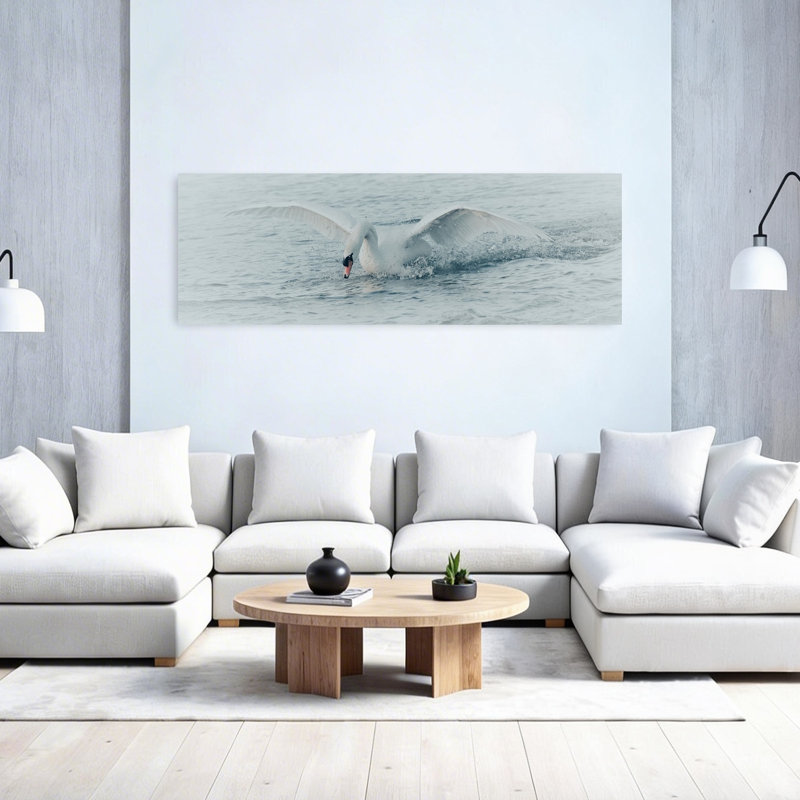 Cygne blanc, éclaboussure, sérénité, sérénité, oiseau, faune, H 20 po x l 60 po