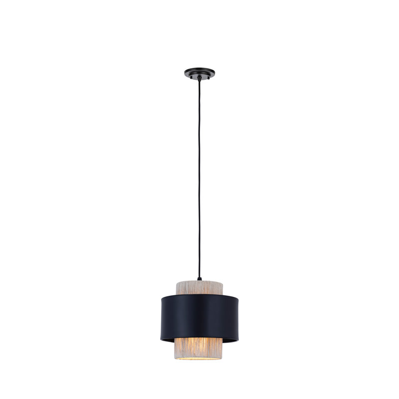 Luminaire suspendu à cordon 1 lumière 8 po Mesa